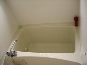 Normal_japanese_bathtub